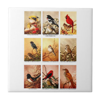 Birds Tile
