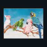Birds Watercolor Parrot Macaw Cockatoo Parakeet Postcard<br><div class="desc">This design may be personalised by choosing the Edit Design option. You may also transfer onto other items. Contact me at colorflowcreations@gmail.com or use the chat option at the top of the page if you wish to have this design on another product or need assistance. See more of my designs...</div>