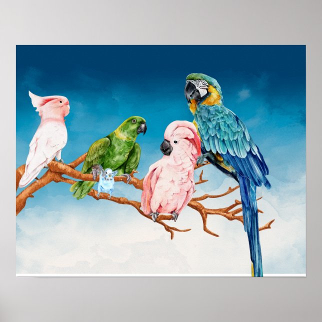 Birds Watercolor Parrot Macaw Cockatoo Parakeet  Poster (Front)