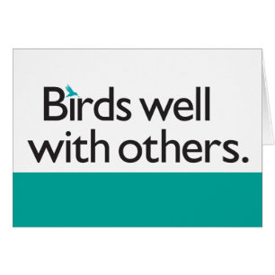 Birds Well with Others