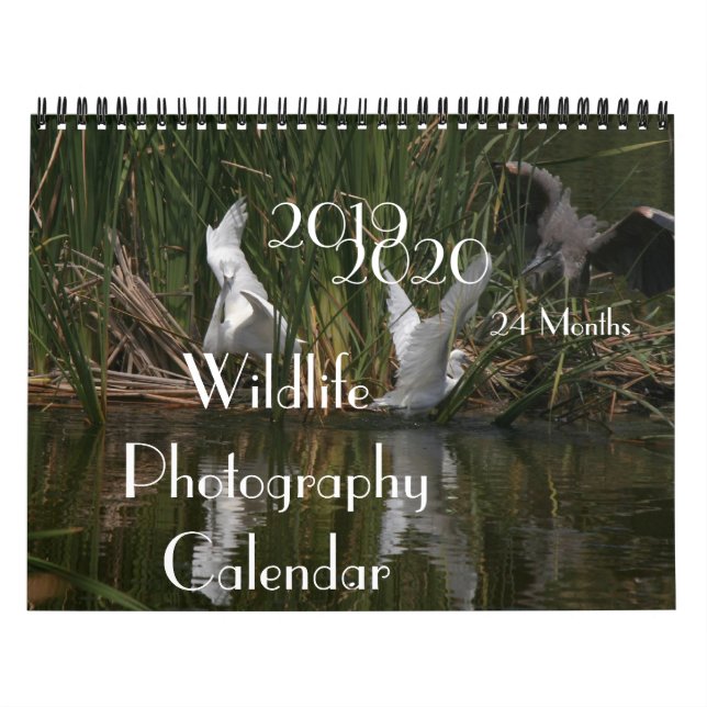 Birds Wildlife Photography 2019 2020 Calendar (Cover)