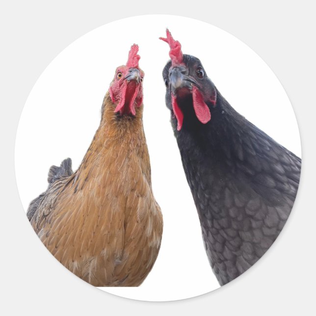 Birds with Attitude Sticker (Front)