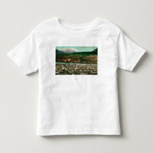 Birdseye View of Skagway, AlaskaSkagway, AK Toddler T-Shirt