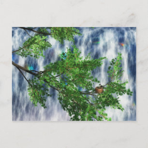 Birdsnest Falls Postcard