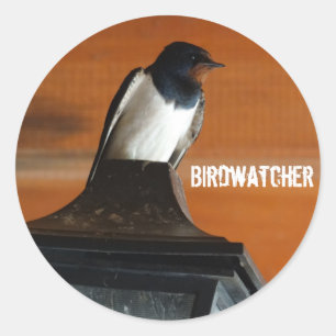 Birdwatcher Swallow  Photo Classic Round Sticker