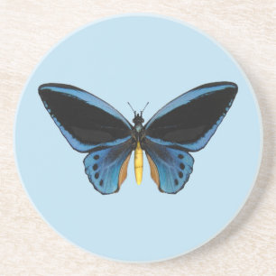 Birdwing Butterfly Coaster