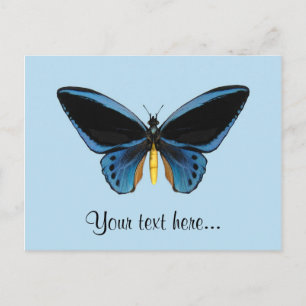 Birdwing Butterfly Postcard