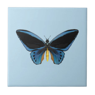 Birdwing Butterfly Tile