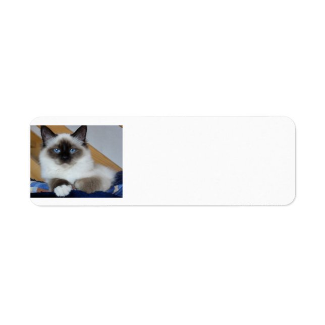 birman 2.png return address label (Front)