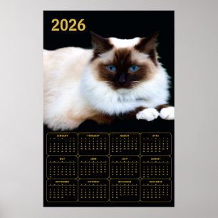 Birman Cat 2026 Calendar Poster