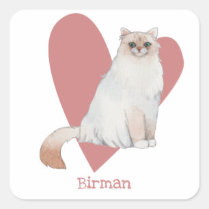 Birman Cat Watercolor Kitty Pink Heart Square Sticker
