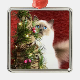 Birman Christmas Tree Ornament