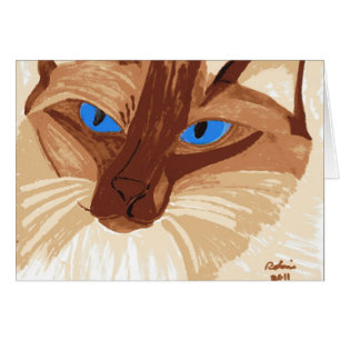 Birman Found, Christchurch