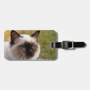 birman.png luggage tag
