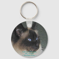 BIRMAN RAGDOLL CAT Collection