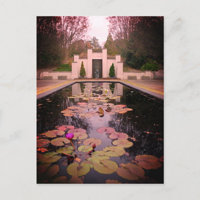 Birmingham Lily Pond Postcard (Front)