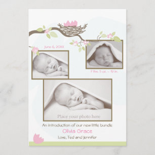 Birth Announcement - Baby Girl