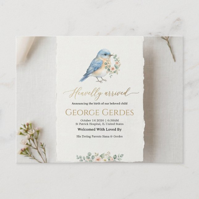 Birth Announcement Postcard (Front)