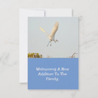 Birth Announcement With Flying Stork.