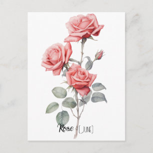 Birth Date Flower Rose (June) Postcard