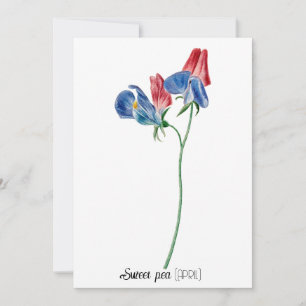 Birth Date Flower Sweet pea (April) Card