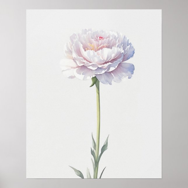 Birth Flower January Carnation Poster (Front)