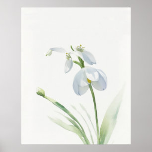 Birth Flower January Snowdrop Poster