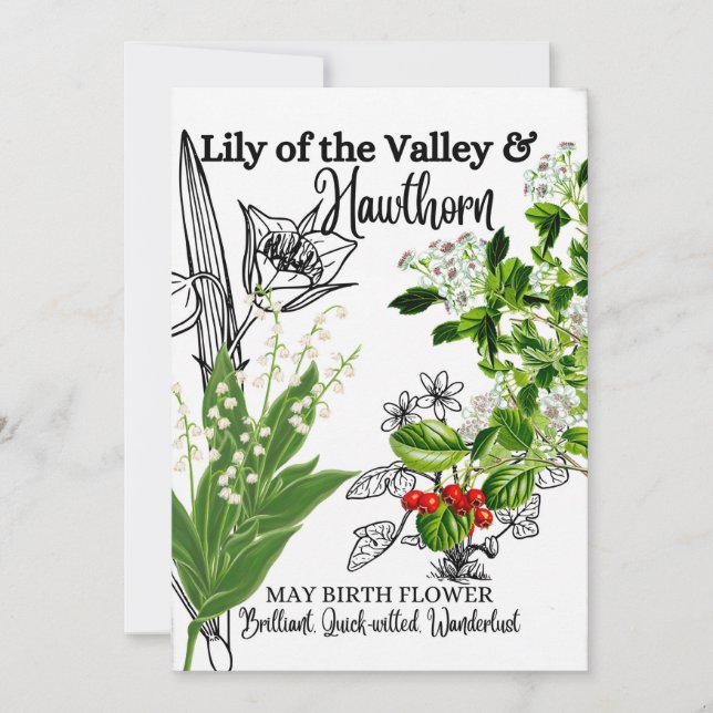 Birth Flower, May, Lily of the Valley, Hawthorn Holiday Card (Front)