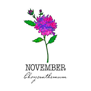 Birth Month Flower November Chrysanthemum Cushion