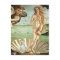 Birth of Venus - Westie (S)