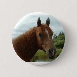 Birthday 012 6 cm round badge
