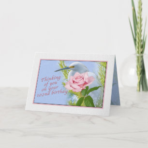 Birthday, 102nd, Snowy Egret and Pink Rose Card