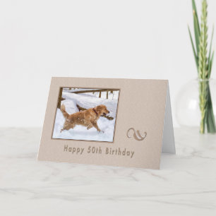 Birthday, 50th, Golden Retriever Dog in Snow Card
