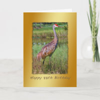 Birthday, 88th, Sandhill Crane Bird