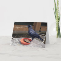 Birthday,  all occasion black crow greeting card