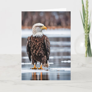 Birthday Bald Eagle On Ice Card