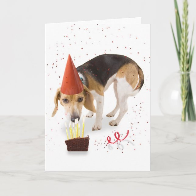 Birthday Beagle Card (Front)
