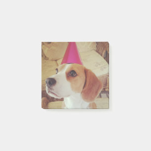 Birthday Beagle post it notes