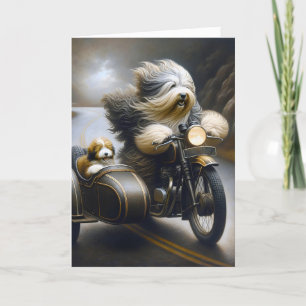 Birthday Bearded Collies On Motorcyle Card