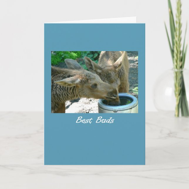Birthday Best Buds BFF Two Elk Calves Friends Card (Front)