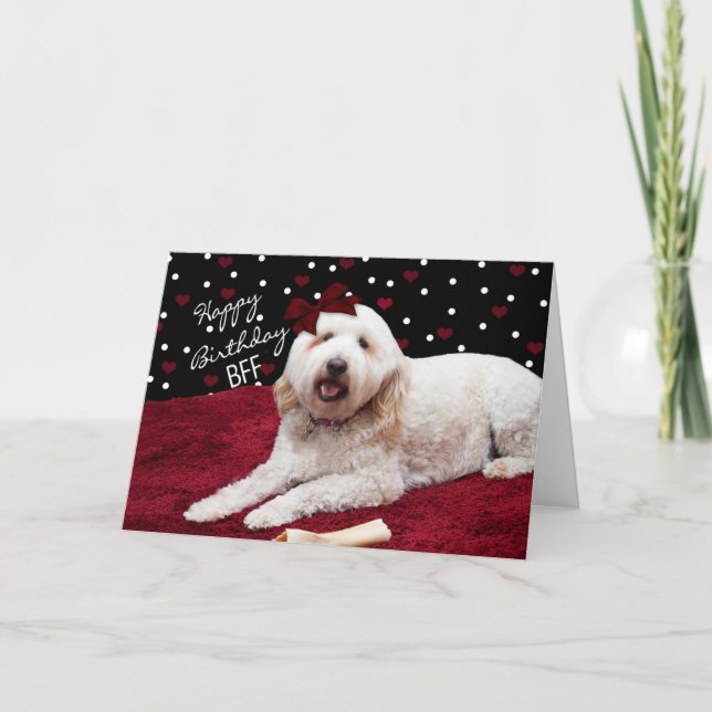 BIRTHDAY BFF - GOLDEN DOODLE DOG CARD (Front)