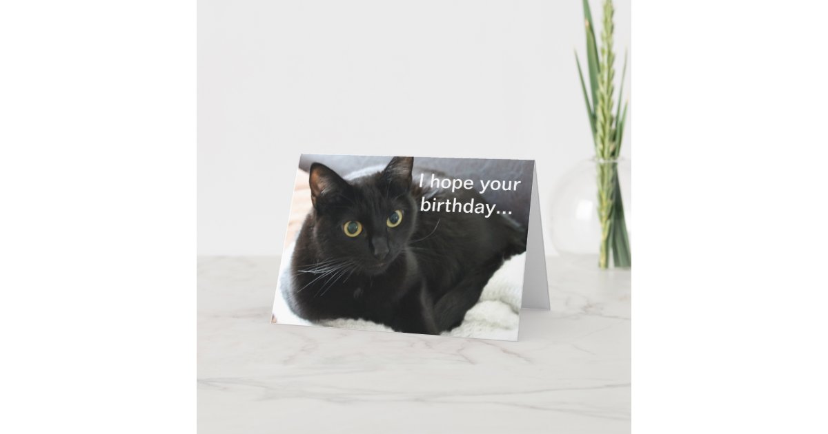 Birthday Black Cat Card | Zazzle.com.au