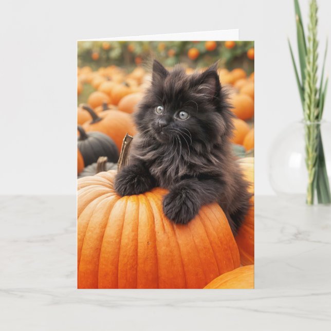 Birthday Black Kitten On Orange Pumpkin Card (Front)