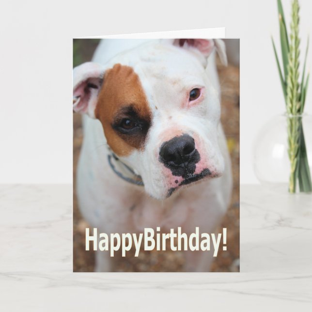 Birthday Boop Card (Front)