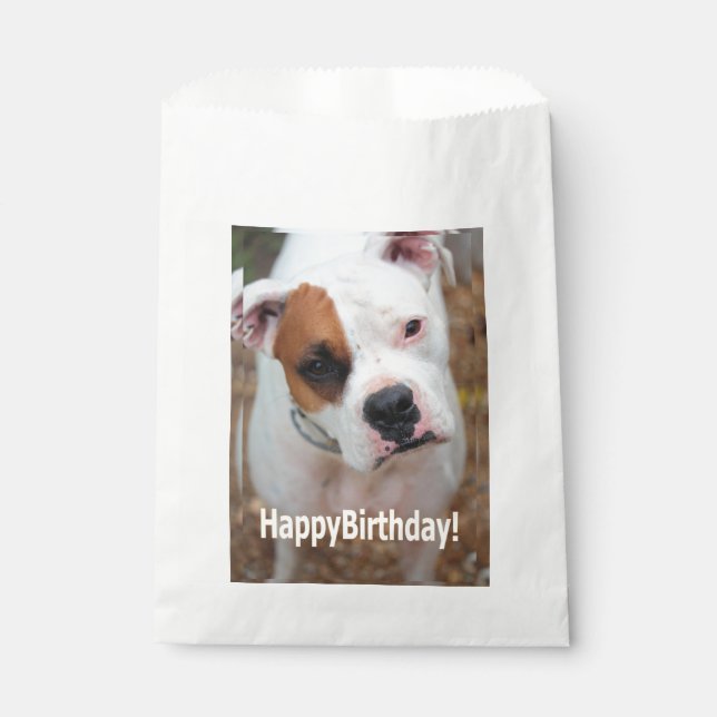 Birthday Boop  Favour Bag (Front)