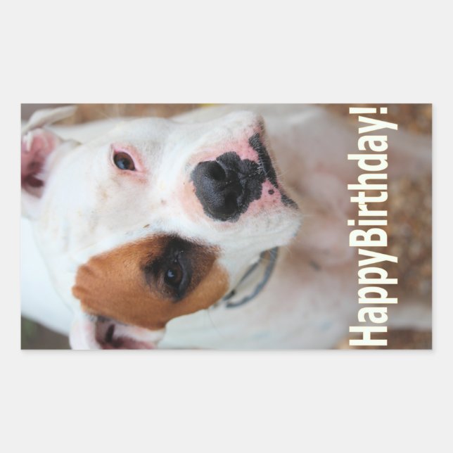 Birthday Boop Rectangular Sticker (Front)