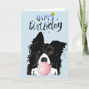 Birthday Border Collie Dog Animal Bubble Gum Card