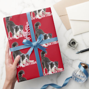Birthday Border Collie on Red Wrapping Paper