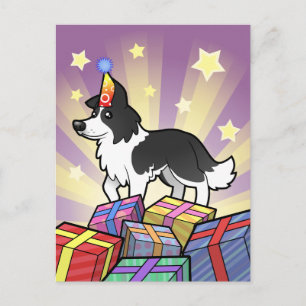 Birthday Border Collie Postcard