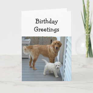 Birthday Both of Us Golden Retriever Card